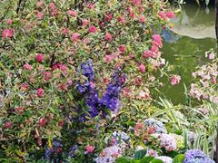 -人民公园(罗湖区)