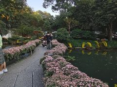 -杭州植物园