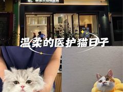 -御宝贝24h宠物医院·转诊中心·CT核磁血透中心(厦门总院)