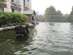 -行者书屋大堂吧 ·下午茶(南京圣和府邸酒店)