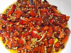 -雲蜀龙阁·金牌水煮鱼(方庄店)