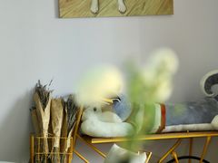 -Husky Go! 哈士奇体验馆·宠物咖啡厅狗咖