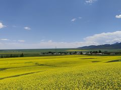 -扁都口生态休闲旅游区