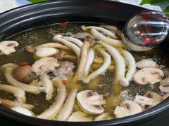 土鸡排骨菌汤-百菇园野生菌煲(平武店)