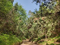 -函谷关历史文化旅游区