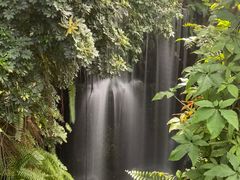 -华南国家植物园-售票处