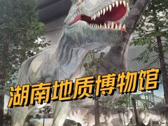 -湖南省地质博物馆