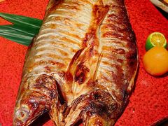 -松涛日本料理