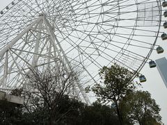 -南昌之星摩天轮