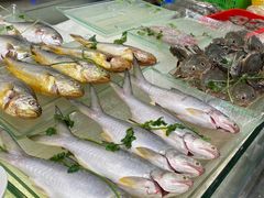 -陈鹏鹏潮汕菜(欢乐海岸 海边景观店)