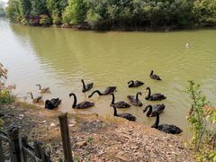 -艾溪湖湿地公园