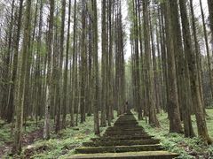 -武陵山森林公园