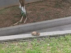 -华南师范大学(广州大学城校区)