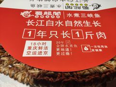 -雲蜀龙阁·金牌水煮鱼(方庄店)