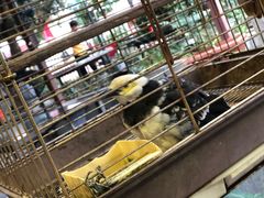 -铁炉农家菜馆