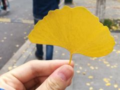 -西南民族大学南区(双流校区)