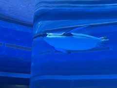 -上海海昌海洋公园-冰山北极馆