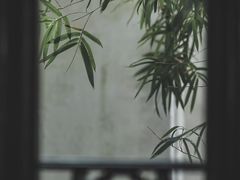 -六出私塾LiuChu•成人美术书法系统课程专业画室(熊婆婆的花园店)