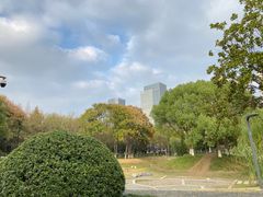 -后襄河公园