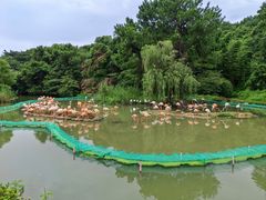 -宁波野生动物园