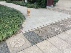 -狼山风景名胜区