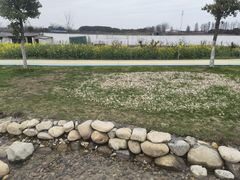 -嘉兴清池酒店温泉