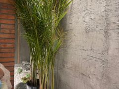 -园里火锅(仁和新城店)