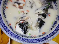 -芜湖新华联大白鲸海洋公园