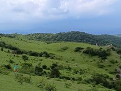 -大姆山草场