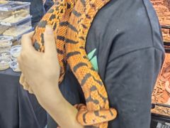 -宁波国际会展中心