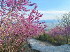 -天台山赤城山景区