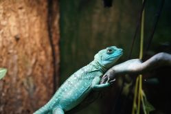 -酷嗒动物文化乐园(cutezoo西溪乐天城店)