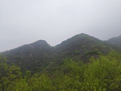 -大岭沟猕猴桃谷风景区