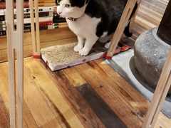 -猫的天空之城概念书店(杭州南宋御街店)