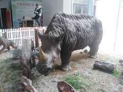 -中国第四纪冰川遗迹陈列馆