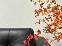 -泉州海丝野生动物世界