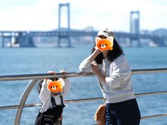 -星海湾跨海大桥