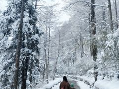 -莫干山风景区