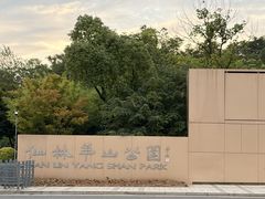 -羊山湖公园