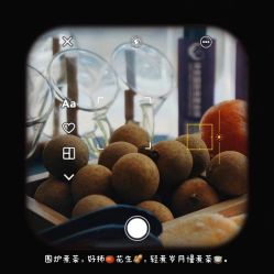 -瑞安母贝安月子会所