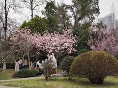 -堤角公园