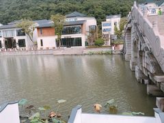 -湘湖金融镇