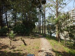 -上海中医药大学附属曙光医院(东部)