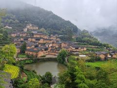 -杨家堂村