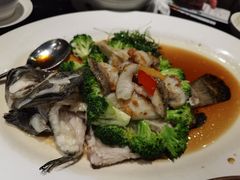 金银深海龙趸鱼-陶陶居酒家(海岸城店)