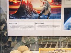 -北京周口店北京人遗址博物馆