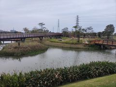 -王借岗森林公园