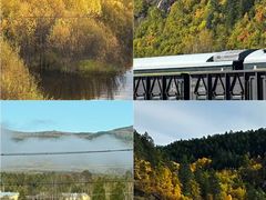 -北极村旅游风景区