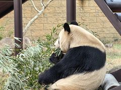 -杭州野生动物世界