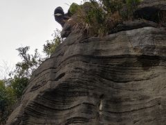 -梭布垭石林景区